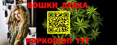 прущие грибы Гатчина