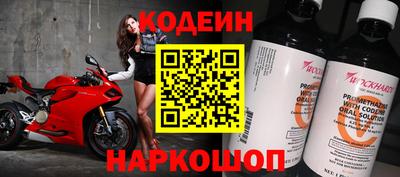 прущие грибы Гатчина
