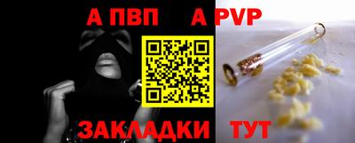 прущие грибы Гатчина