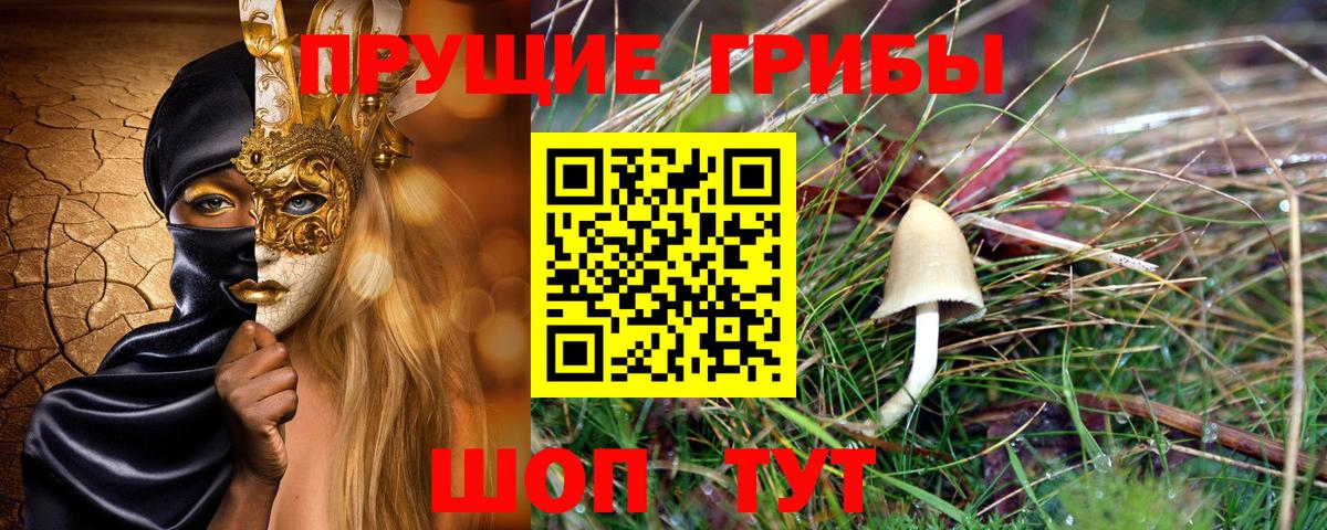 Городец  Галлюциногенные грибы Cubensis  Вход с VPN 